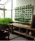 Minigarden Vertical Kitchen Garden