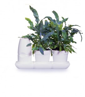 Minigarden Basic S Pots