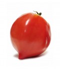 Tomate "Cuor di bue", Biologisches Saatgut von Minigarden