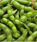 Sojabohnen (Grün), Samen von Minigarden