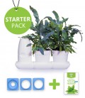 Minigarden Starter Pack Salate und Aromatische