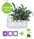 Minigarden Starter Pack Salate und Aromatische