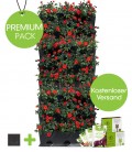 Premium Pack Vertikaler Gemüsegarten von Minigarden