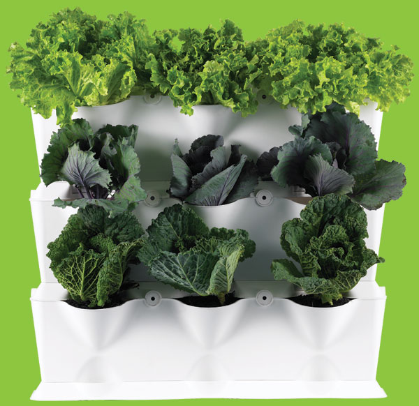 Minigarden Vertical - Vertikaler Gemüsegarten